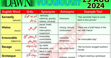 Daily DAWN News Vocabulary with Urdu Meaning (29 August 2024)