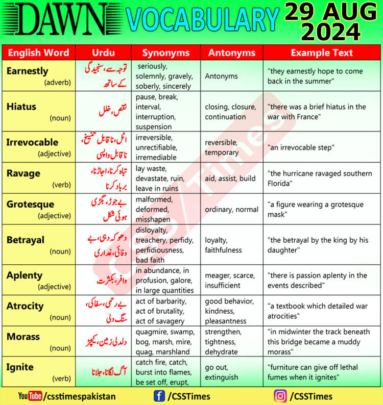 Daily DAWN News Vocabulary with Urdu Meaning (29 August 2024)