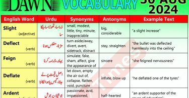 Daily DAWN News Vocabulary with Urdu Meaning (30 August 2024)