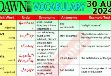 Daily DAWN News Vocabulary with Urdu Meaning (30 August 2024)